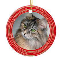 Anpassa Red Cat Photo Memorial-citat