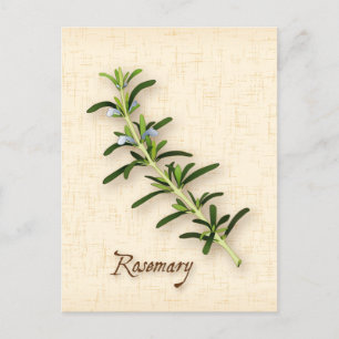 Anpassa Rosemary Herb vykort