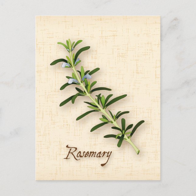 Anpassa Rosemary Herb vykort (Framsida)