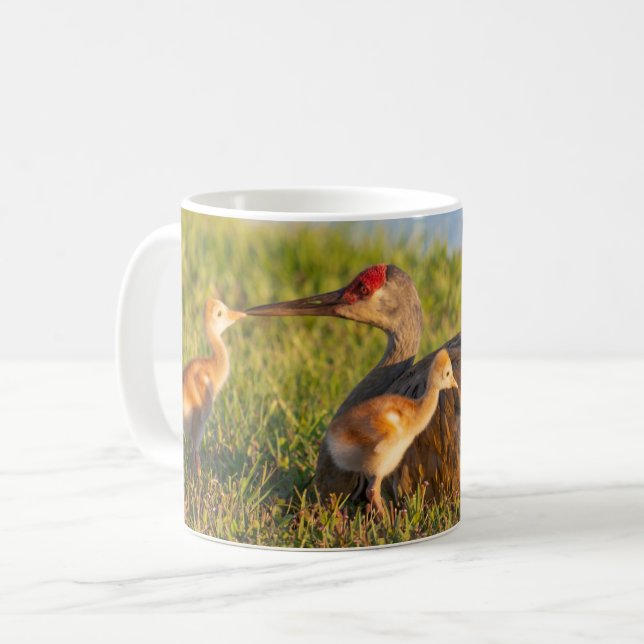 Anpassa Sandhill cranes kärlek till dess chickar Kaffemugg (Framsida vänster)