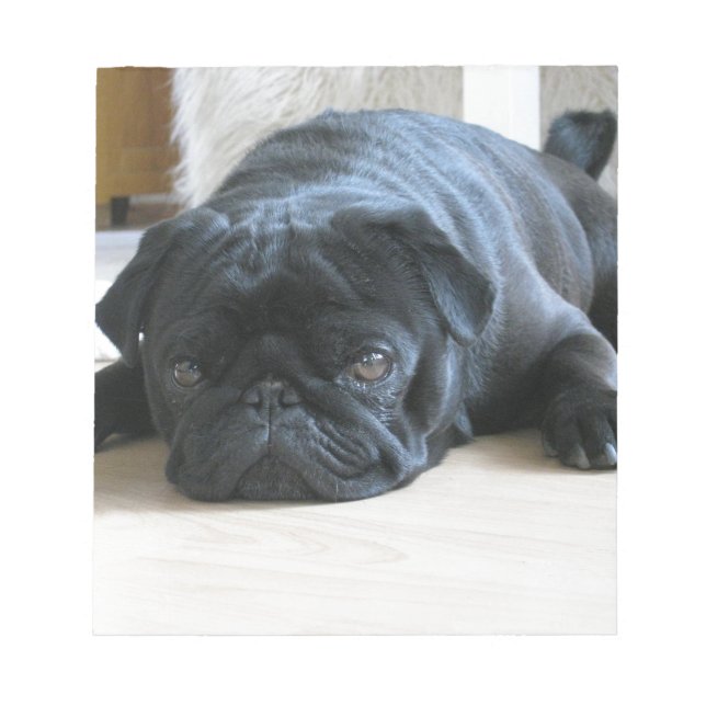 Anpassa sött svart pug Puppy-tillbehör namn Anteckningsblock (Framsida)