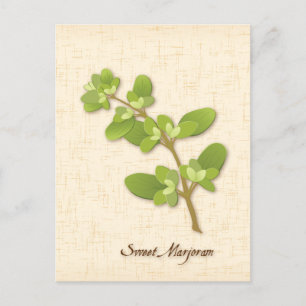 Anpassa Sweet Marjoram Postcard Vykort