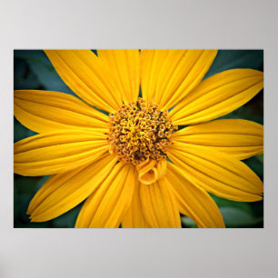 Anpassa vacker Gult blomma Poster