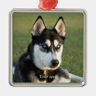 Anpassa valpen Siberian husky i porträtt Julgransprydnad Metall
