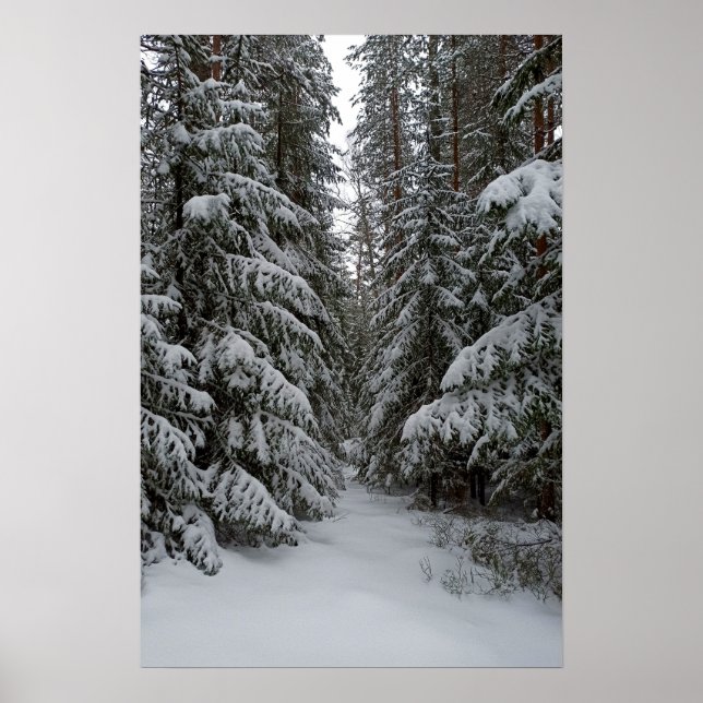 Anpassa vinter snöig städsegrön skog poster (Framsidan)