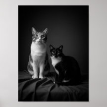 Anpassad 4K svart-vit husdjurporträttaffisch