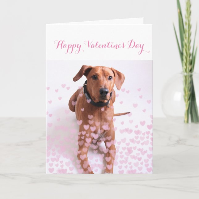 Anpassad Alla hjärtans dag-kort - Hund Kort (Framsida)