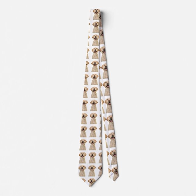 Anpassad ansikts halsduk, anpassad husdjur personl slips (Framsida)