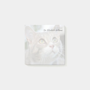 Anpassad anteckning från veterinär med blekt kattf post-it block