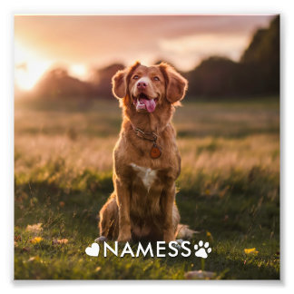 Anpassad bild med din hunds namn fototryck