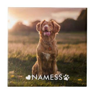 Anpassad bild med din hunds namn kakelplatta