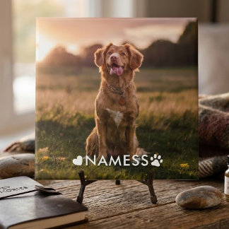 Anpassad bild med din hunds namn kakelplatta