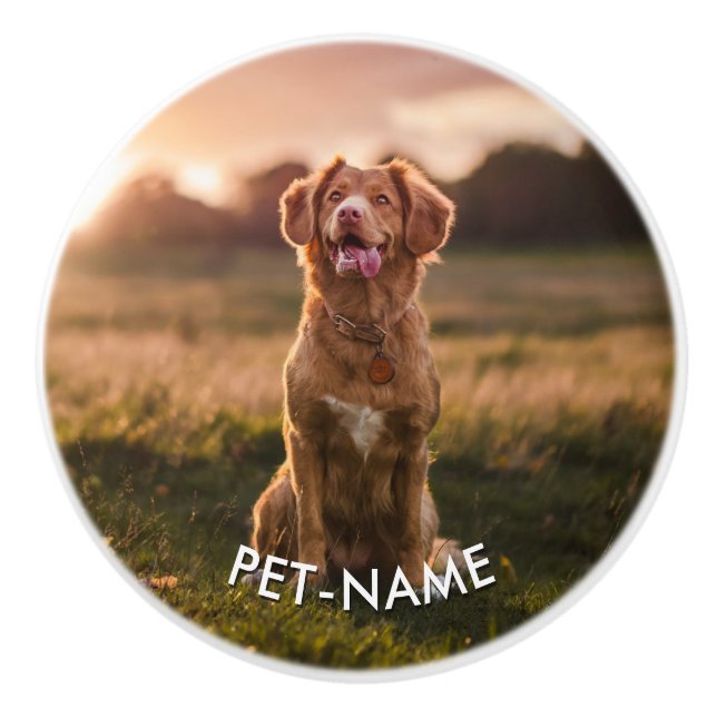 Anpassad bild med din hunds namn knopp (Framsidan)