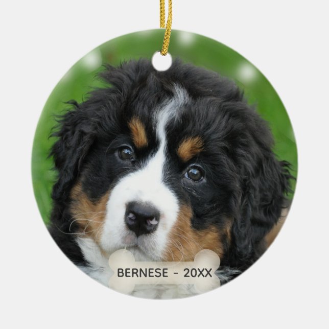 Anpassad bild på Berner Sennenhund Julgransprydnad Keramik (Framsidan)