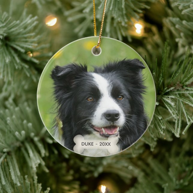 Anpassad Border Collie Hund Foto Julgransprydnad Keramik (Träd)