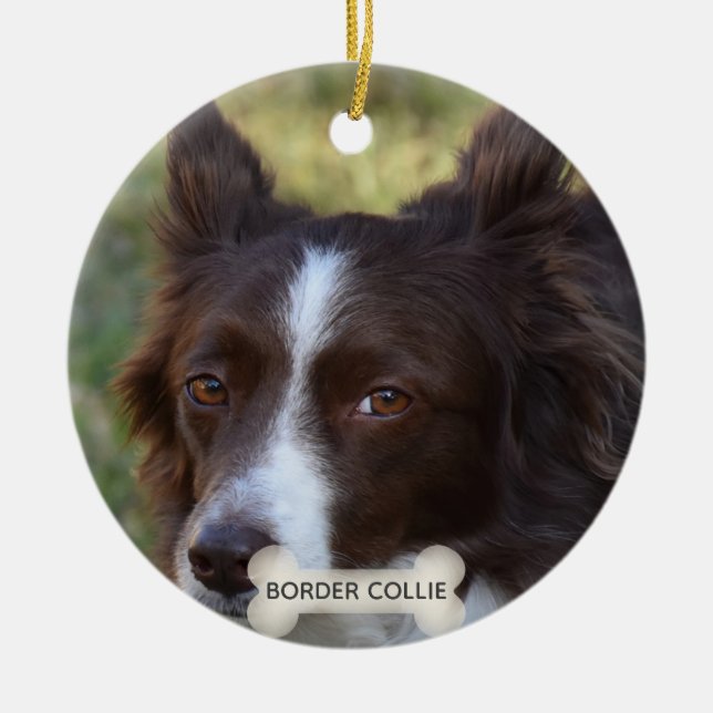 Anpassad Brun Border Collie Hund Foto Julgransprydnad Keramik (Framsidan)
