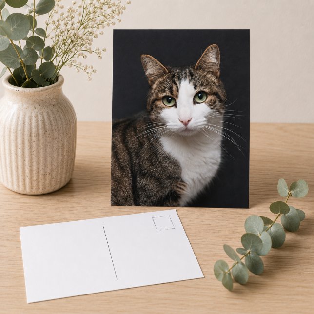 Anpassad Brun Tabby Katt Enstaka Husdjur Foto Vykort (Replace with your own pet photo,  add text using the design tool, if you wish)