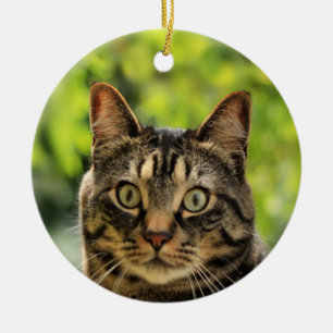 Anpassad Brun Tabby Katt Foto Julgransprydnad Keramik