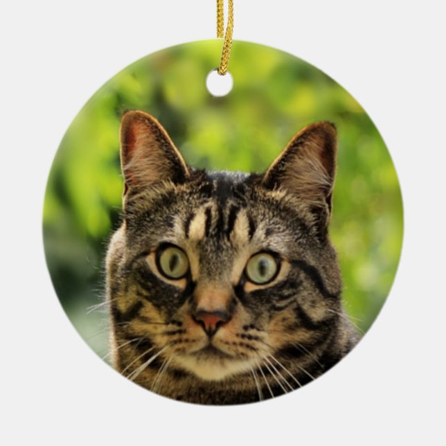 Anpassad Brun Tabby Katt Foto Julgransprydnad Keramik (Framsidan)
