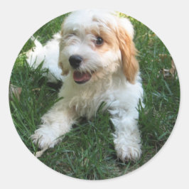 Anpassad Cavachon Photo Mobil Sticker, Hund Runt Klistermärke