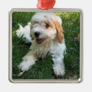 Anpassad Cavachon Photo Ornament, Hund Julgransprydnad Metall