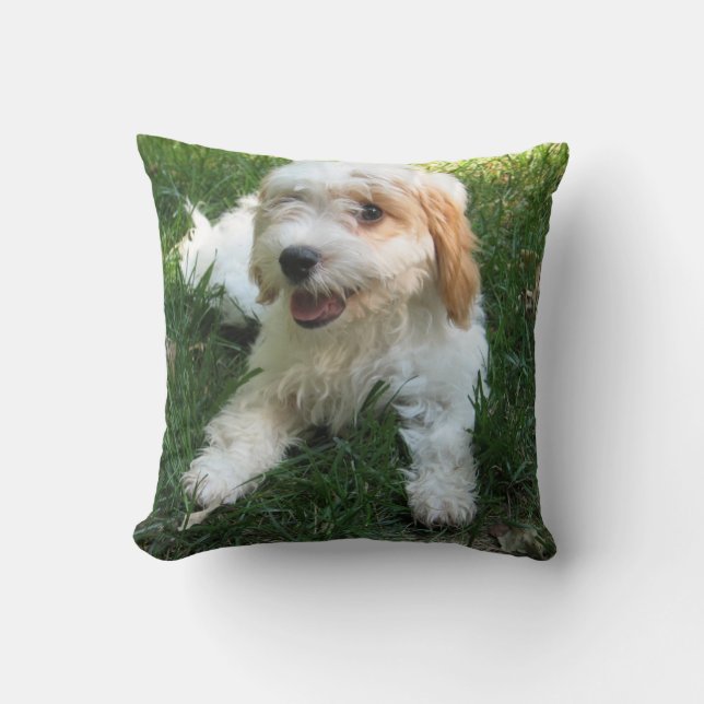 Anpassad Cavachon Photo Pillow, Hund Kudde (Framsida)