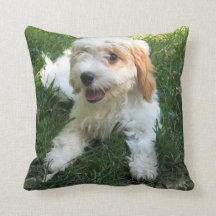 Anpassad Cavachon Photo Pillow, Hund