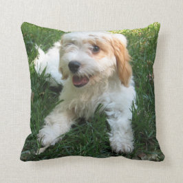 Anpassad Cavachon Photo Pillow, Hund Kudde