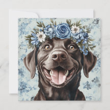 Anpassad choklad Labrador hund blå blommig hälsnin