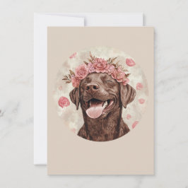 Anpassad chokladlabrador hund rosa glädjande hälsn