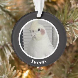Anpassad Cockatiel-Foto-Minnestavla 