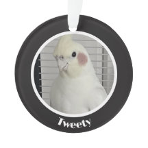 Anpassad Cockatiel-Foto-Minnestavla