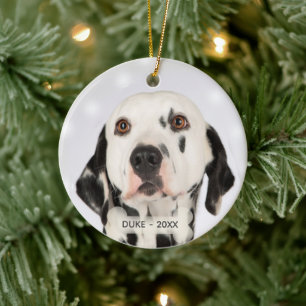 Anpassad Dalmatiner Hund Foto Julgransprydnad Keramik
