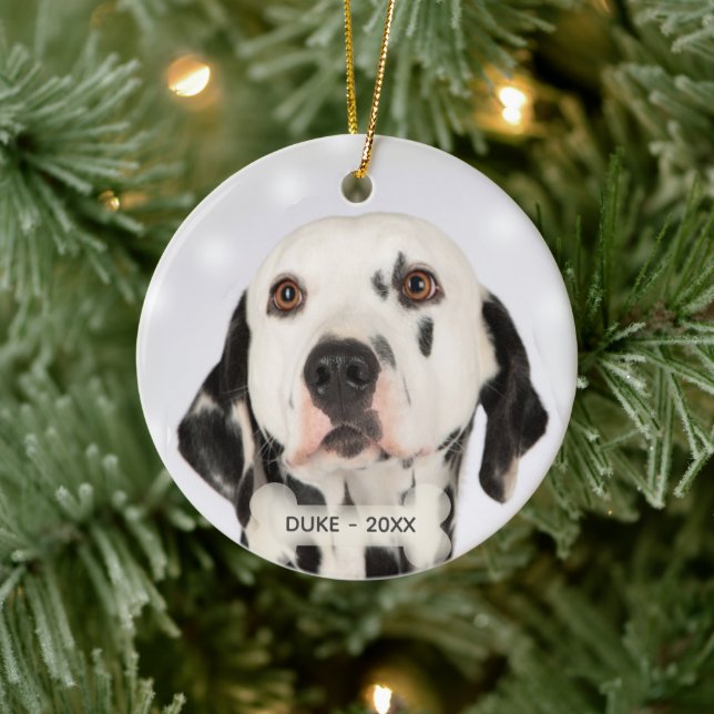 Anpassad Dalmatiner Hund Foto Julgransprydnad Keramik (Träd)