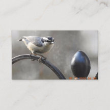 Anpassad design dina egna visitkortar