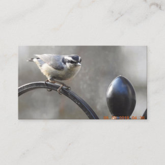 Anpassad design dina egna visitkortar visitkort