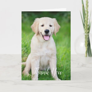 Anpassad Enkel Hund Djur Foto Veterinär Tekniker V Tack Kort