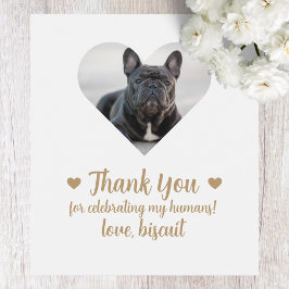 Anpassad Foto Hund Jag Gör Också Bröllops Vinfetik Vinflaska Etikett