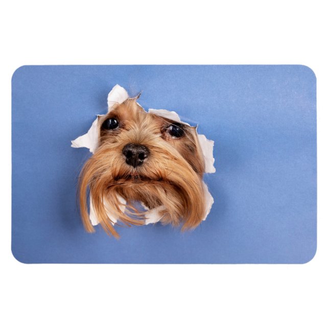 Anpassad Foto Magnet (Horisontell)