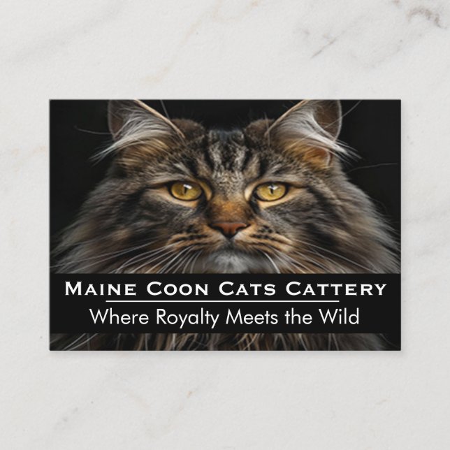 Anpassad Foto Maine Coon Kattery Professionell  Visitkort (Framsida)