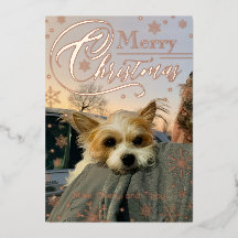 Anpassad Foto Snöflinga Typografi Jul