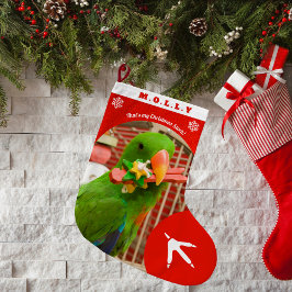 Anpassad Fotografi av Sällskaps Papegoja Jul Röda Stor Julstrumpa
