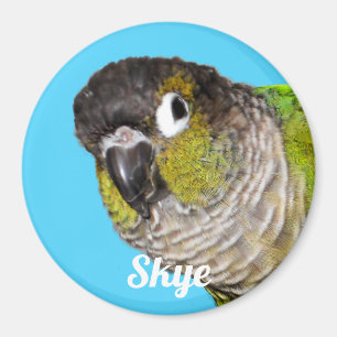 Anpassad Fotografi av Sällskapsdjur Fågel Namn Magnet
