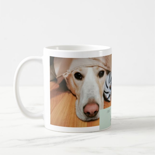 Anpassad fotokopp för djurälskare. Ladda upp din h Kaffemugg (Vänster)