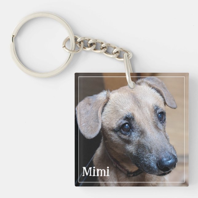 Anpassad foton på husdjur Minimalistisk Modern Enk (Framsidan)