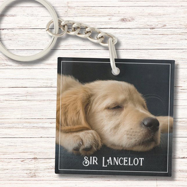 Anpassad foton på husdjur Minimalistisk Modern Enk (This Custom Pet Photo Minimalist Modern Simple Keepsake Keychain with playful handwritten name.)