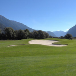 Anpassad golfklubba Foto Väggur
