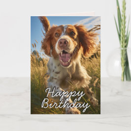 Anpassad Gordon Setter Glad Födelsedag Kort