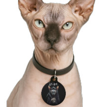 Anpassad Grim Reaper Sphynx Katt Rolig