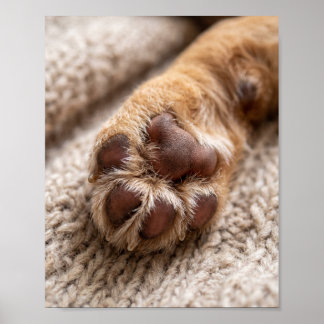 Anpassad hundbensfoto 8x10 Poster för husdjursport